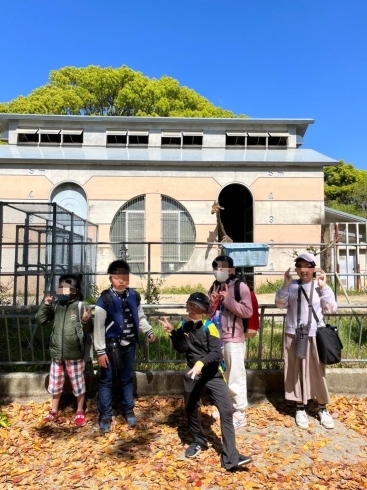 「大牟田市動物園に行ってきました！」