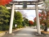 「【編集部ニュース】神無月(かんなづき)の京都･城下町伏見から『伏見の紅葉名勝地』を紹介します‼　＠京ちゃんの伏見ヒストリー日記」