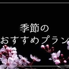 季節のおすすめプラン