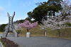 「桜開花状況」