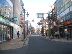 写真は平日午前9時頃の早稲田通り<br>週末は観光客で賑わう