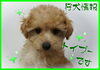 「目に入れても痛くな～い(^_-)-☆」