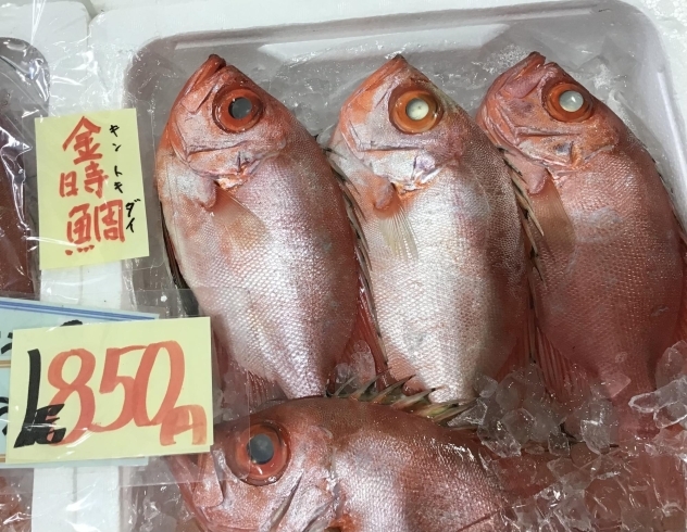 「魚魚市場鮮魚コーナーおすすめは「ヒゲダラ」です♪」