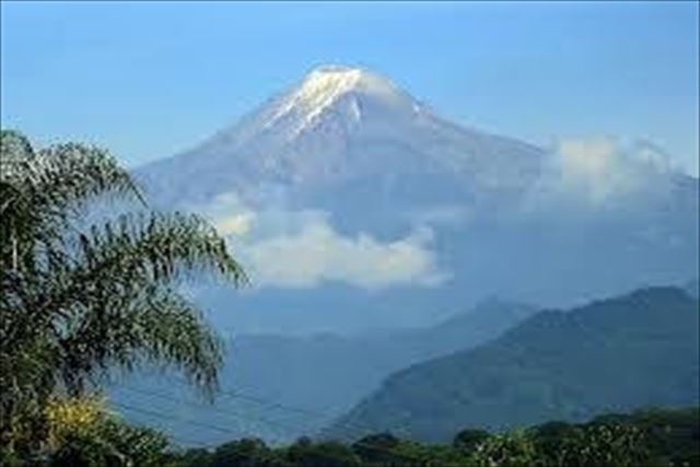 「カフェインレスコーヒー「カフェインレス コロンビア Mountain Water製法」珈琲豆紹介/CAMBLEMグリーン珈琲焙煎所」