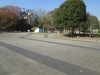 青戸平和公園 葛飾区の花見スポット まいぷれ 葛飾区