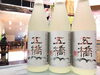 「今だけのフレッシュな味わい！山口・五橋の新酒！」