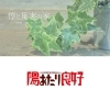 「2/2（土）　「まっすんの陽あたり良好」でウィンウィンホームの家が紹介されます！」