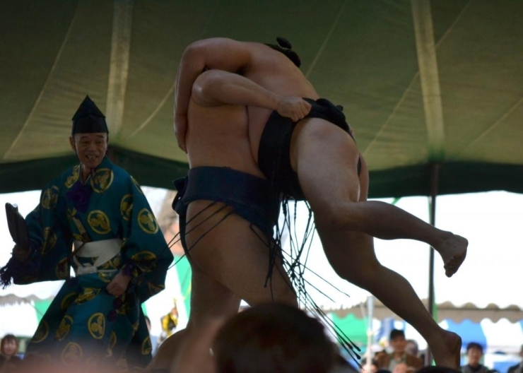 結びの一番　横綱対決　鶴竜(左)と日馬富士(右)