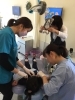「フェアリ歯科 0才からのはみがき教室：ティンクの部屋≪2、3月開催日≫」