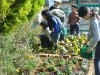 生き物は最高の教材 過程も楽しめる花植えイベント 宮前チャリダー日記 自転車で旅する宮前周辺地域 宮前ぽーたろう 川崎市宮前区