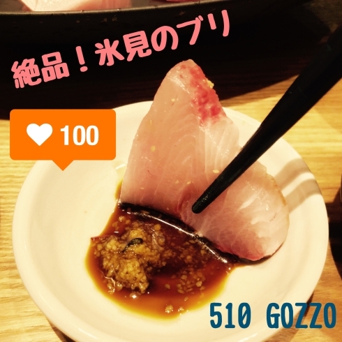 「きっときとの氷見産ブリを堪能♪【美食魚彩510～GOZZO～（ごっつぉ）】」