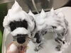 「最強٩( 'ω' )و  覆面レスラー」