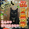 「猫カフェKuroは２周年」