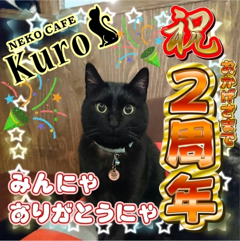 「猫カフェKuroは２周年」