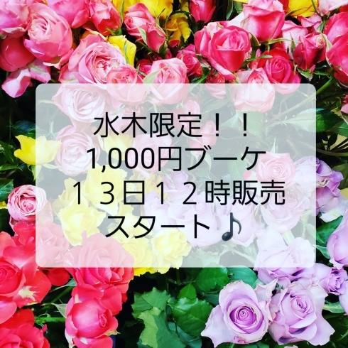 「水木限定！！●１，０００円ブーケ●１３日１２時販売スタート♪」