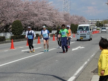 さくら通りをかけるご高齢のランナー