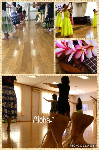 「Aloha～～～♪」