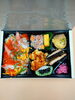 「お弁当　つまみ折　いも煮　♪」