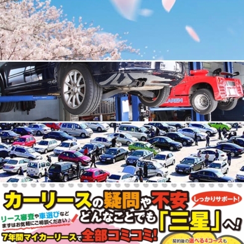 「車検取ろうか、買い替えようか・・・」