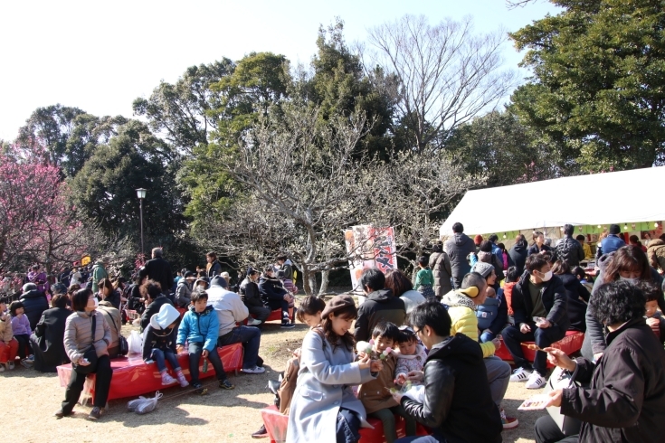 「午後1時　プリンセスが行く豊橋うめまつり」