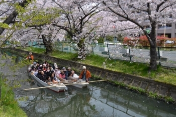 乗船風景。<br>水路から眺める桜並木を<br>楽しんでおられるようですね！