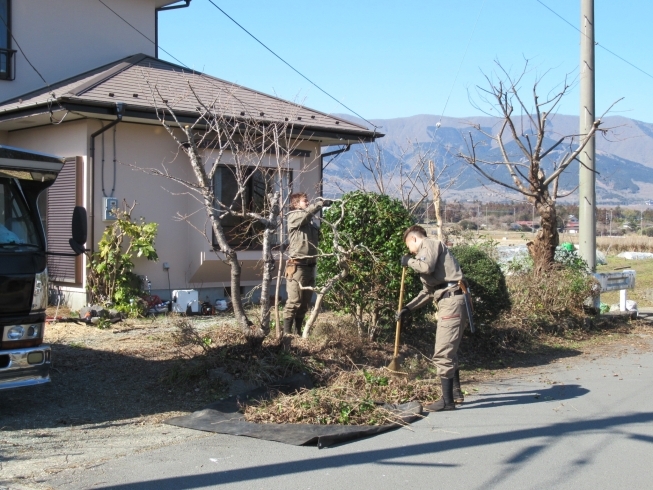 「造園工事　植木剪定・伐採　只今工事中です　御殿場・小山」