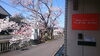 「舞鶴店舗、営業休止のお知らせ✨」
