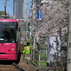 【No.155】　2014年　新宿の桜　神田川沿い2