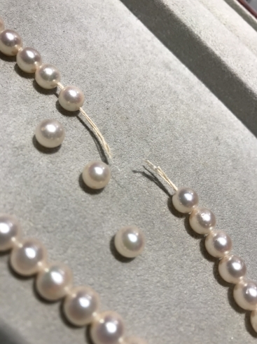 「真珠のネックレス糸替え」
