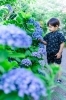 紫陽花も♪「ご近所限定プランのご紹介♪【江戸川区でこども・ファミリーの出張撮影をしています】」