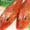 八千代市、佐倉市の鮮魚店  　勝田台から徒歩10分　 魚や山粋（ヤマスイ)  　島根　ほうぼう