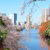 第67回　桜の見どころ～市谷・神楽坂周辺～