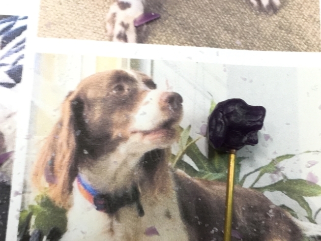 「愛犬の面影をゴールドのピアスに　　3月4日　スタジオアルジェント今日の作業机」