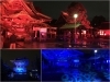 「【柴又帝釈天】ライトアップがとても綺麗です☆」