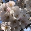 3月　ちびっこ広場つうしん