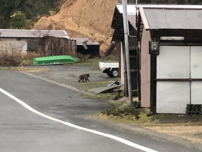 「【配達の車窓から】あれは何だ！」