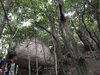 「【参加募集】龍岩窟アドベンチャーHike」