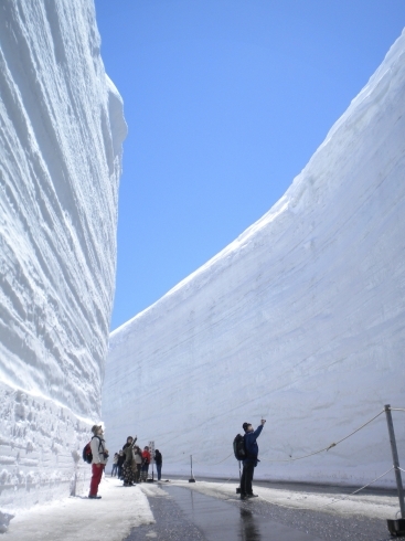 「雪の大谷を歩こう！！」