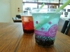 「3/13,14（水、木曜日）タピオカカフェ店舗改装のため、お休みします。」