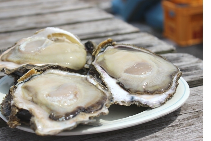 「牡蠣の美味しい季節は実はこれから！週末の家族での外食はココ！　お子さまから大人までみんなニコニコ食べ放題♪　東京から約６０分！八千代道の駅隣 千葉市内や、柏、松戸、野田、浦安、市川、船橋から近い！　[海鮮食べ放題・浜焼き]　」