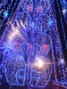 「IN☆鳥取砂丘」