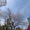 第72回　新宿中央公園 アウトサイドフェスティバル