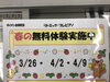 「2歳3歳児無料体験できます！」
