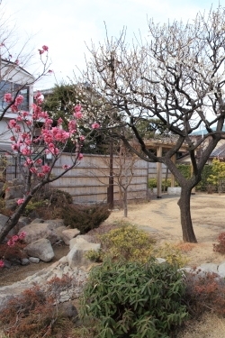 春の延寿東流庭園