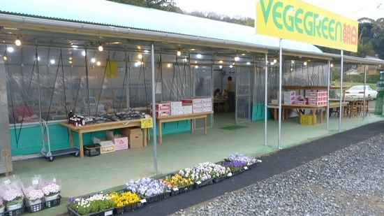 行方市行戸の「要ファーム」さんが「有機新鮮野菜」の直売所をオープン！