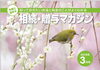「【登記・成年後見・相続・遺言・事業承継】など皆様に役立つ情報をお届け！！【DCT司法書士事務所　安藤様】」