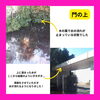 「【施工事例】」