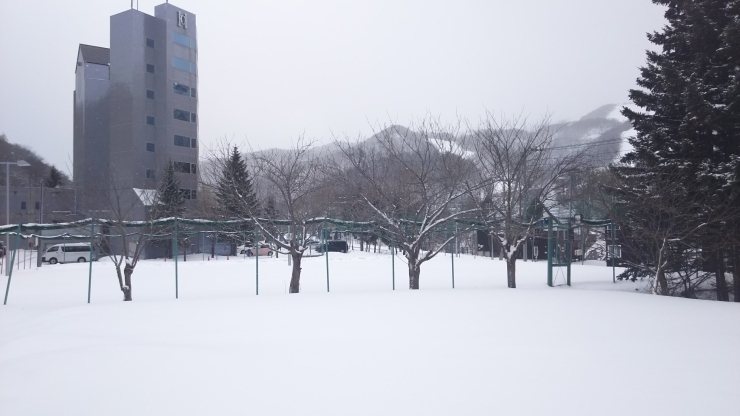 帰って来た雪景色 ペンション シャドウクラッセのニュース まいぷれ 小樽市