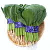 西船橋の名産「小松菜」の料理紹介コンテンツ | おいしい菜！小松菜料理大特集 | まいぷれ[船橋市]
