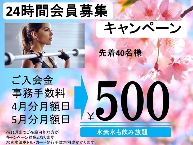 「24時間会員募集キャンペーン【24時間】女性専用ジムのアワード」